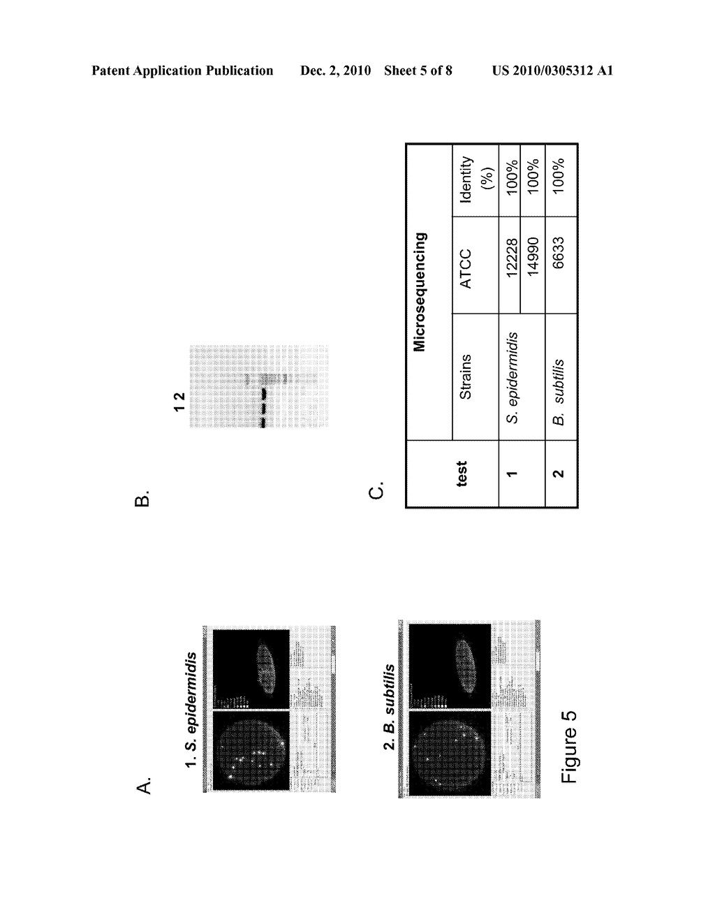 Method For The Extraction And Purification Of Nucleic Acids On A Membrane - diagram, schematic, and image 06