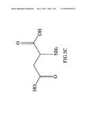 Polymorph, polymorph screening system, and polymorph preparing and screening method diagram and image