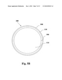 DEVICE, SYSTEM AND METHOD FOR EXAMINING A BODY LUMEN diagram and image