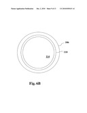 DEVICE, SYSTEM AND METHOD FOR EXAMINING A BODY LUMEN diagram and image