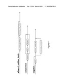 Using Information Usage Data to Detect Behavioral Patterns and Anomalies diagram and image