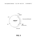 Polypeptides having cellobiohydrolase activity and polynucleotides encoding same diagram and image