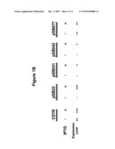 NUCLEIC ACIDS FOR INDUCING EXPRESSION OF TRANSCRIPTS AND PROTEINS AND METHODS FOR MAKING AND USING THEM diagram and image