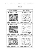 OIL-IMPREGNATED SINTERED BEARING AND MANUFACTURING METHOD THEREOF diagram and image