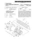 Double teeth ball screw apparatus diagram and image