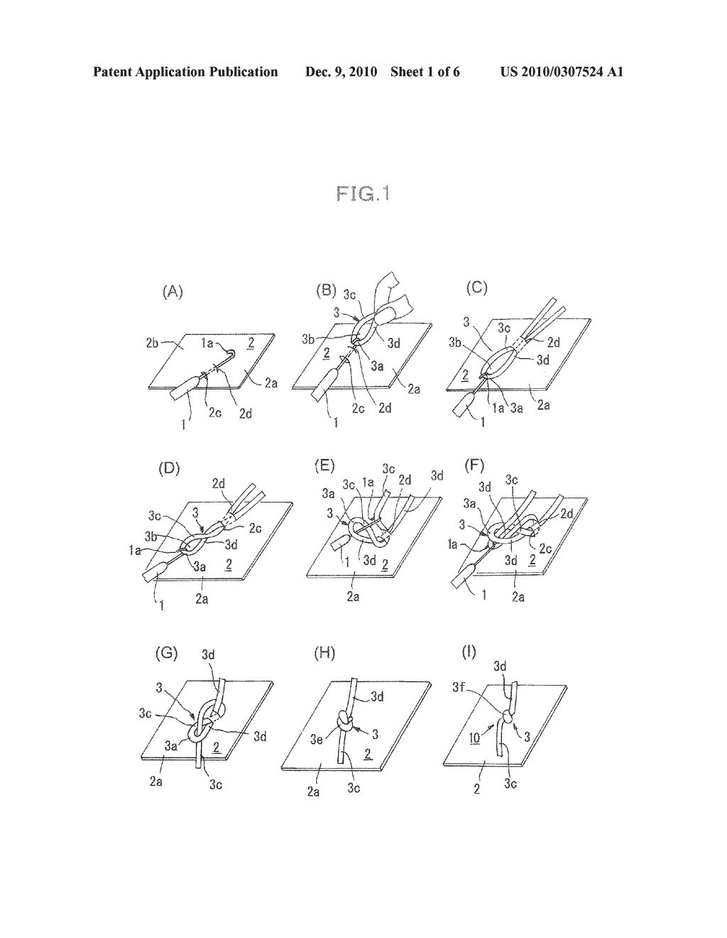 WIG AND ITS MANUFACTURING METHOD - diagram, schematic, and image 02