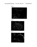 PROCESS FOR PREPARATION OF COMPOUND CONTAINING 6A GROUP ELEMENT USING REDUCTANT diagram and image