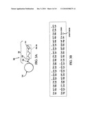 Inorganic particle conjugates diagram and image