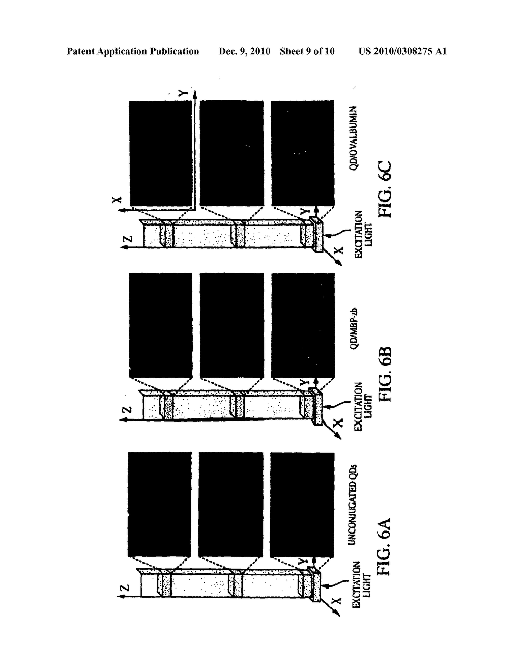 Inorganic particle conjugates - diagram, schematic, and image 10