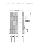 CONTROL CHANNEL SIGNALING USING A COMMON SIGNALING FIELD FOR TRANSPORT FORMAT AND REDUNDANCY VERSION diagram and image