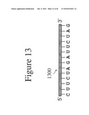 DEVICES AND METHODS FOR ANALYZING BIOMOLECULES AND PROBES BOUND THERETO diagram and image