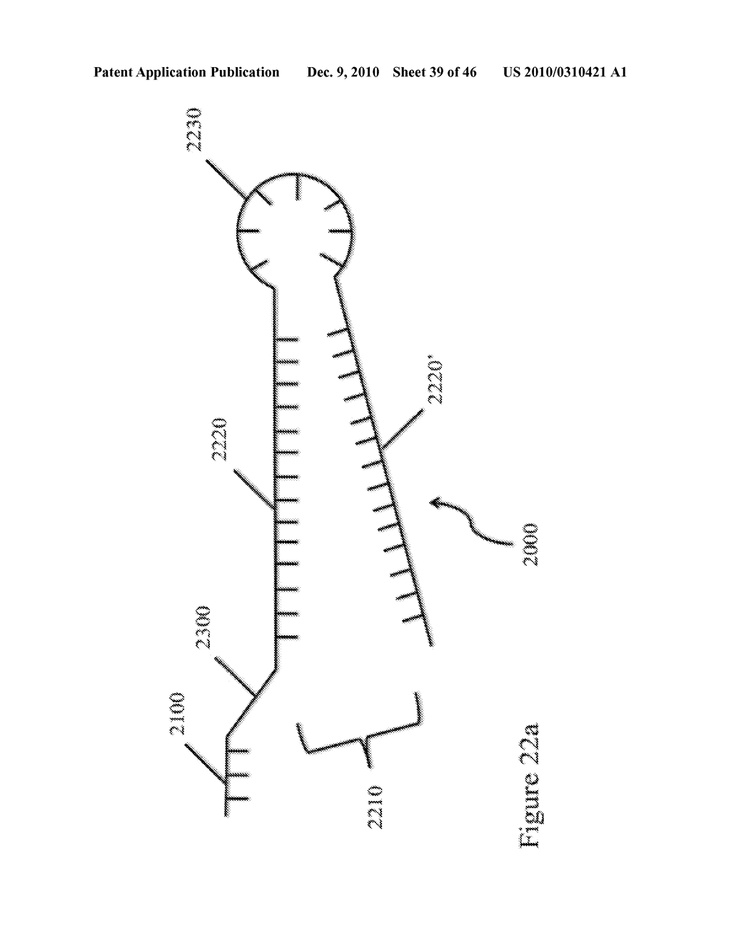 DEVICES AND METHODS FOR ANALYZING BIOMOLECULES AND PROBES BOUND THERETO - diagram, schematic, and image 40