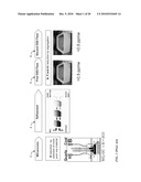 Process Control For UMG-Si Material Purification diagram and image