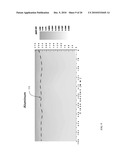 Process Control For UMG-Si Material Purification diagram and image