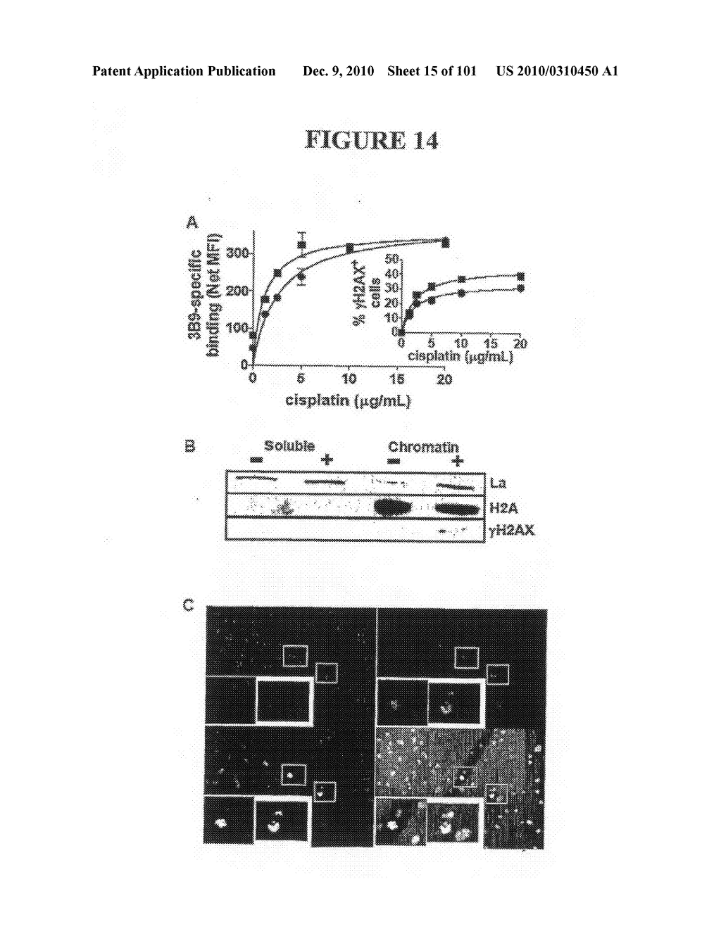  METHOD OF DIAGNOSIS AND AGENTS USEFUL FOR SAME - diagram, schematic, and image 16