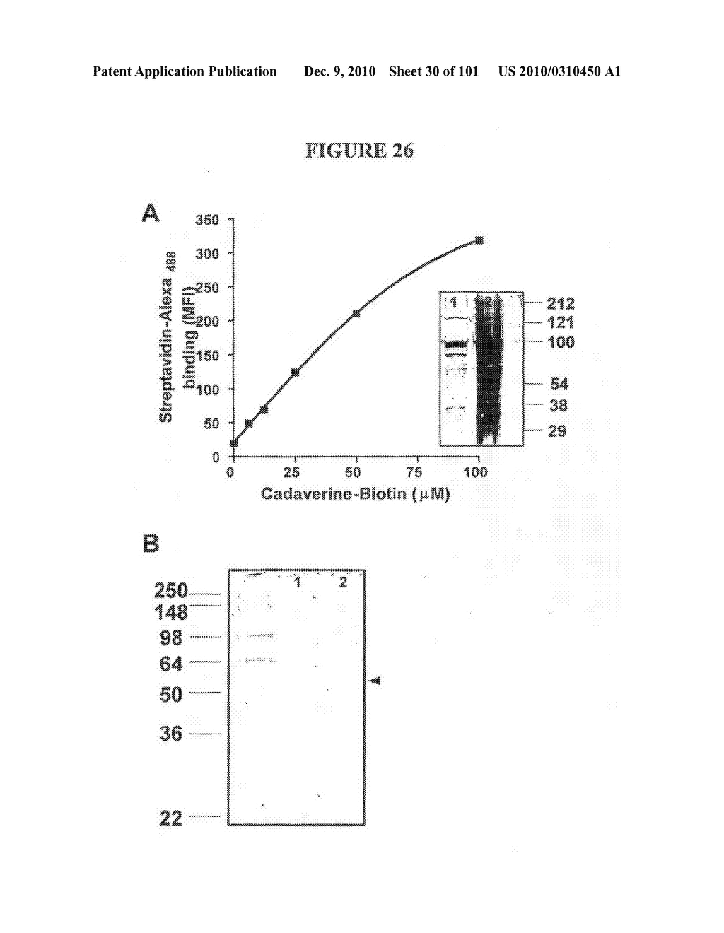  METHOD OF DIAGNOSIS AND AGENTS USEFUL FOR SAME - diagram, schematic, and image 31