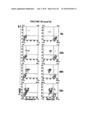  METHOD OF DIAGNOSIS AND AGENTS USEFUL FOR SAME diagram and image