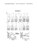  METHOD OF DIAGNOSIS AND AGENTS USEFUL FOR SAME diagram and image