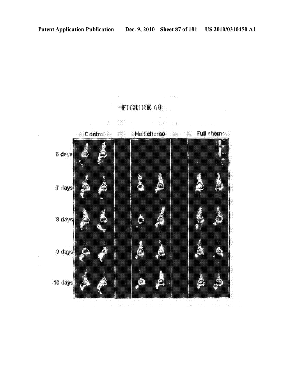  METHOD OF DIAGNOSIS AND AGENTS USEFUL FOR SAME - diagram, schematic, and image 88