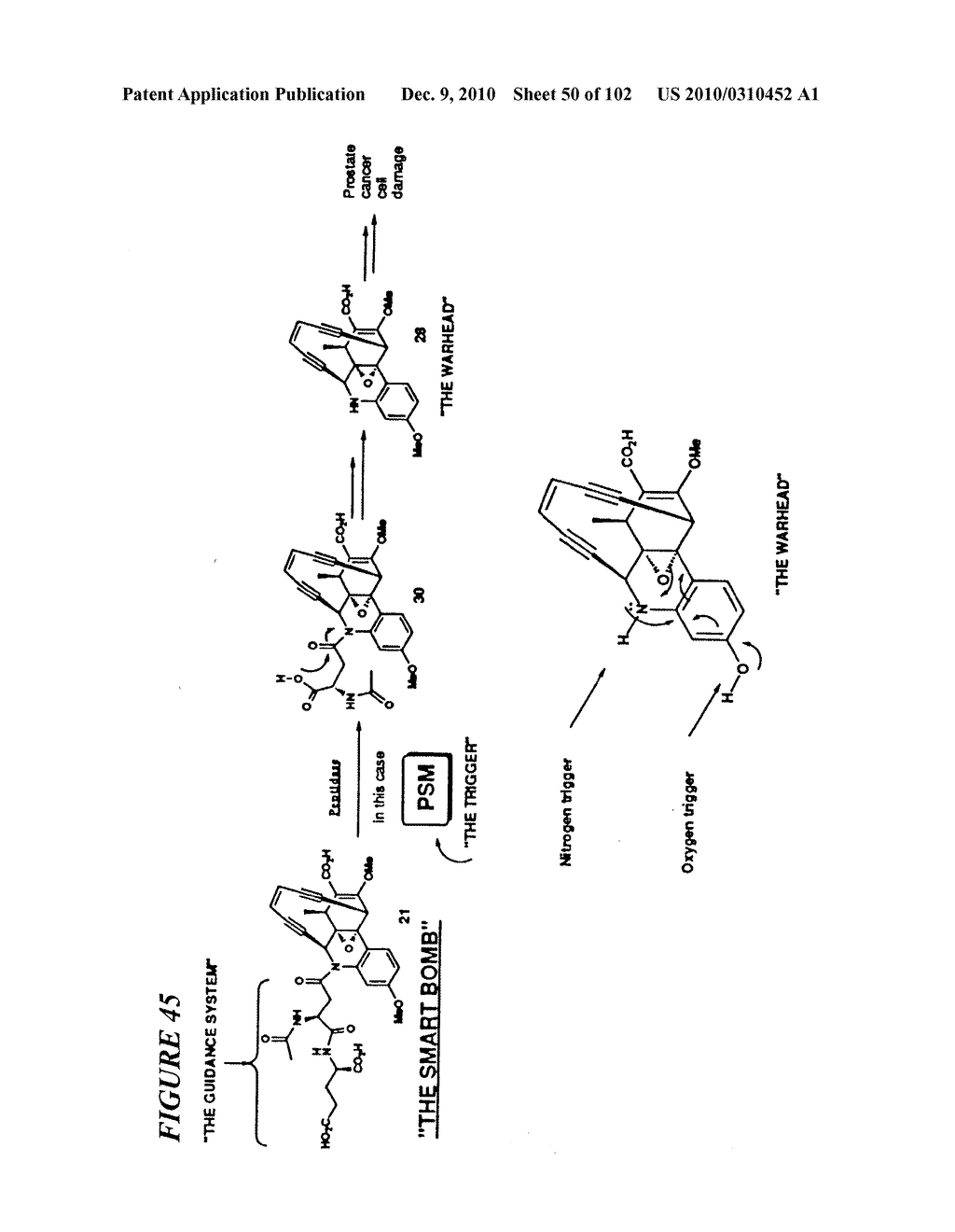 PROSTATE-SPECIFIC MEMBRANE ANTIGEN AND USES THEREOF - diagram, schematic, and image 51