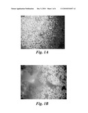 IMAGING OF MYELIN BASIC PROTEIN diagram and image