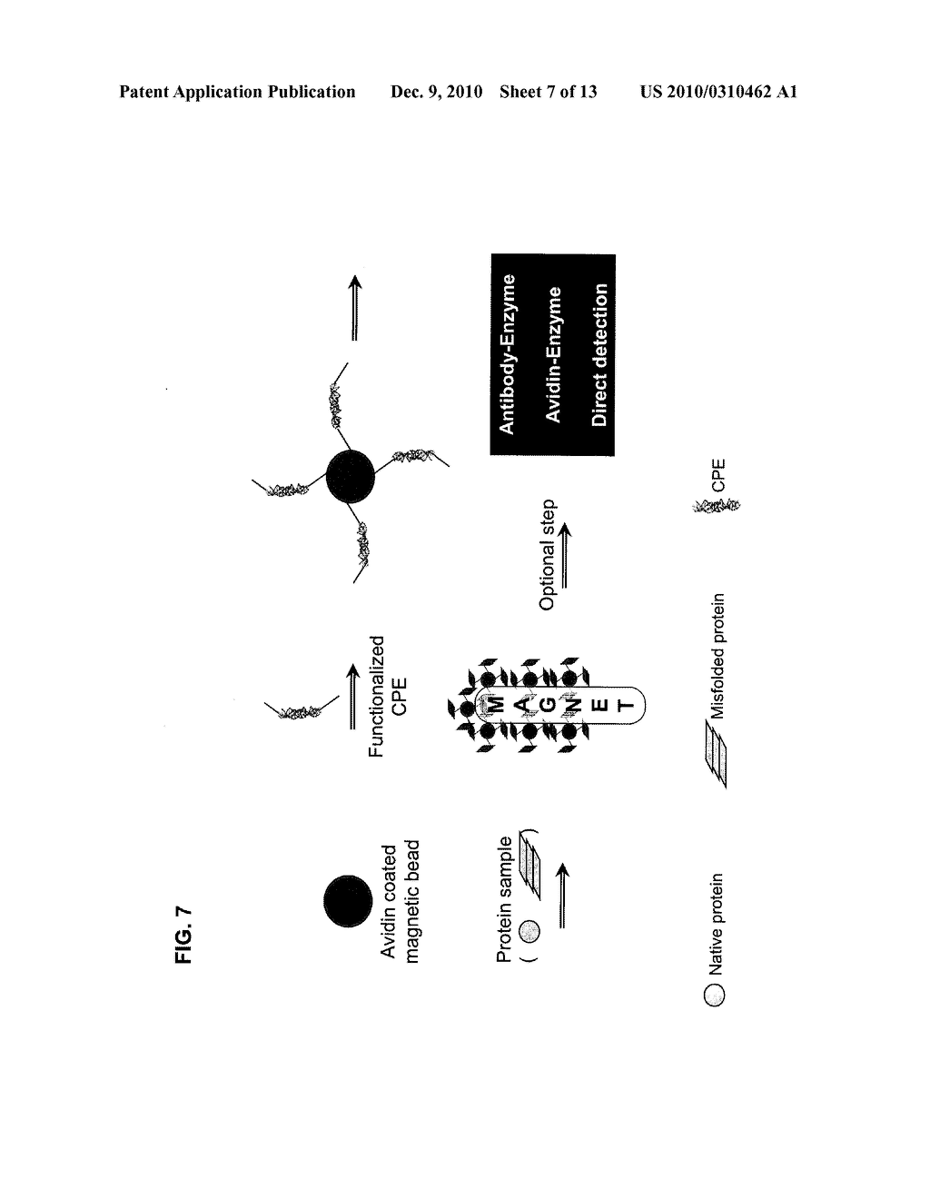 BINDING OF PATHOLOGICAL FORMS OF PROTEINS USING CONJUGATED POLYELECTROLYTES - diagram, schematic, and image 08