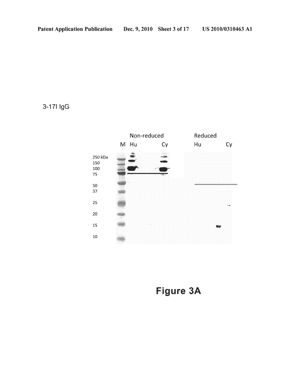 Anti-EpCAM Antibodies - diagram, schematic, and image 04