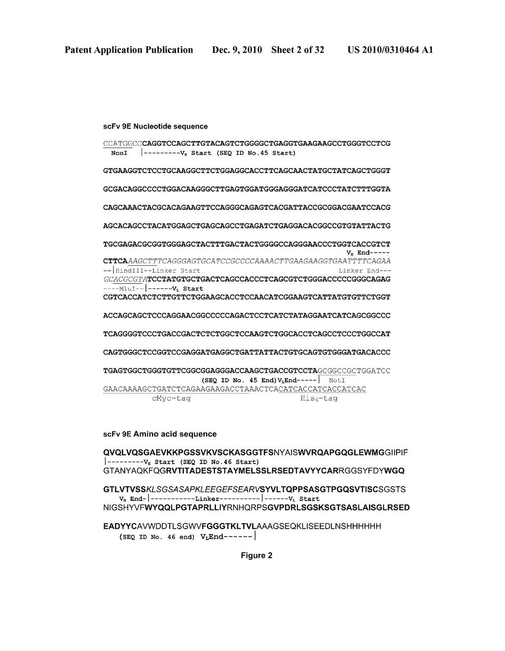 Antibodies - diagram, schematic, and image 03