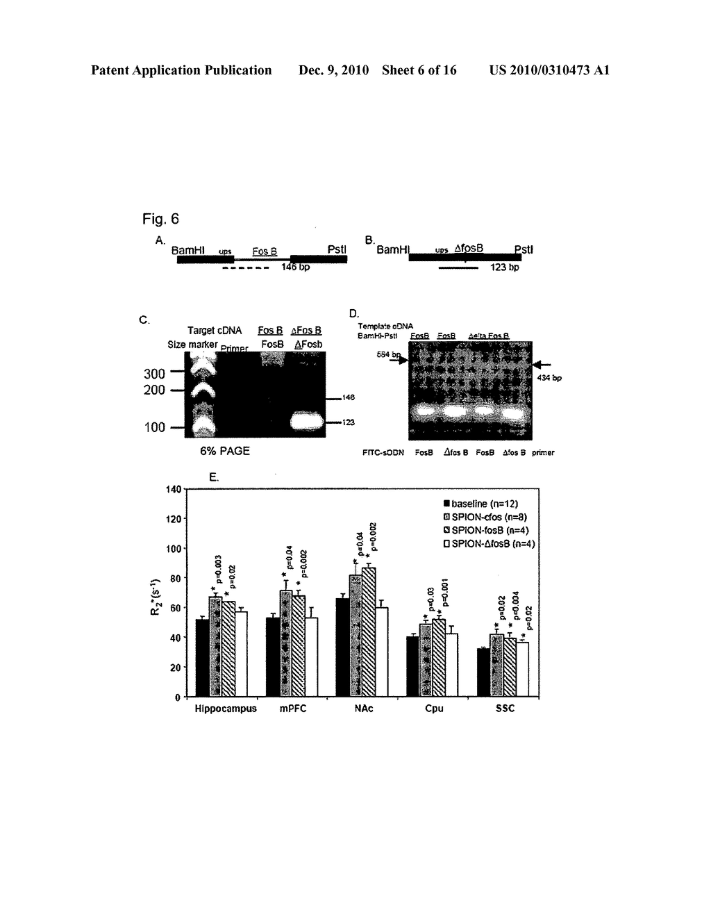 Targeting Brain Cells Via Ophthalmic Delivery - diagram, schematic, and image 07