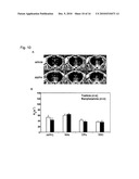 Targeting Brain Cells Via Ophthalmic Delivery diagram and image