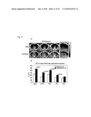 Targeting Brain Cells Via Ophthalmic Delivery diagram and image