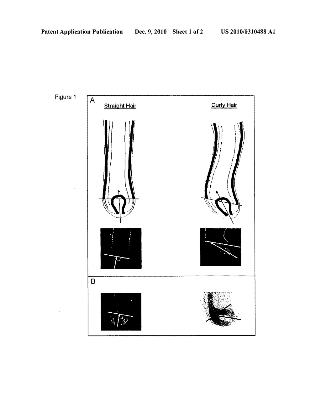 SELECTING/IDENTIFYING AND ADMINISTERING ACTIVE AGENTS USEFUL FOR MODIFYING THE SHAPE OF KERATIN/HAIR FIBERS - diagram, schematic, and image 02