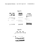 NOVEL COMPOSITIONS AND METHODS FOR CANCER TREATMENT diagram and image