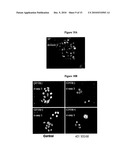 NOVEL COMPOSITIONS AND METHODS FOR CANCER TREATMENT diagram and image