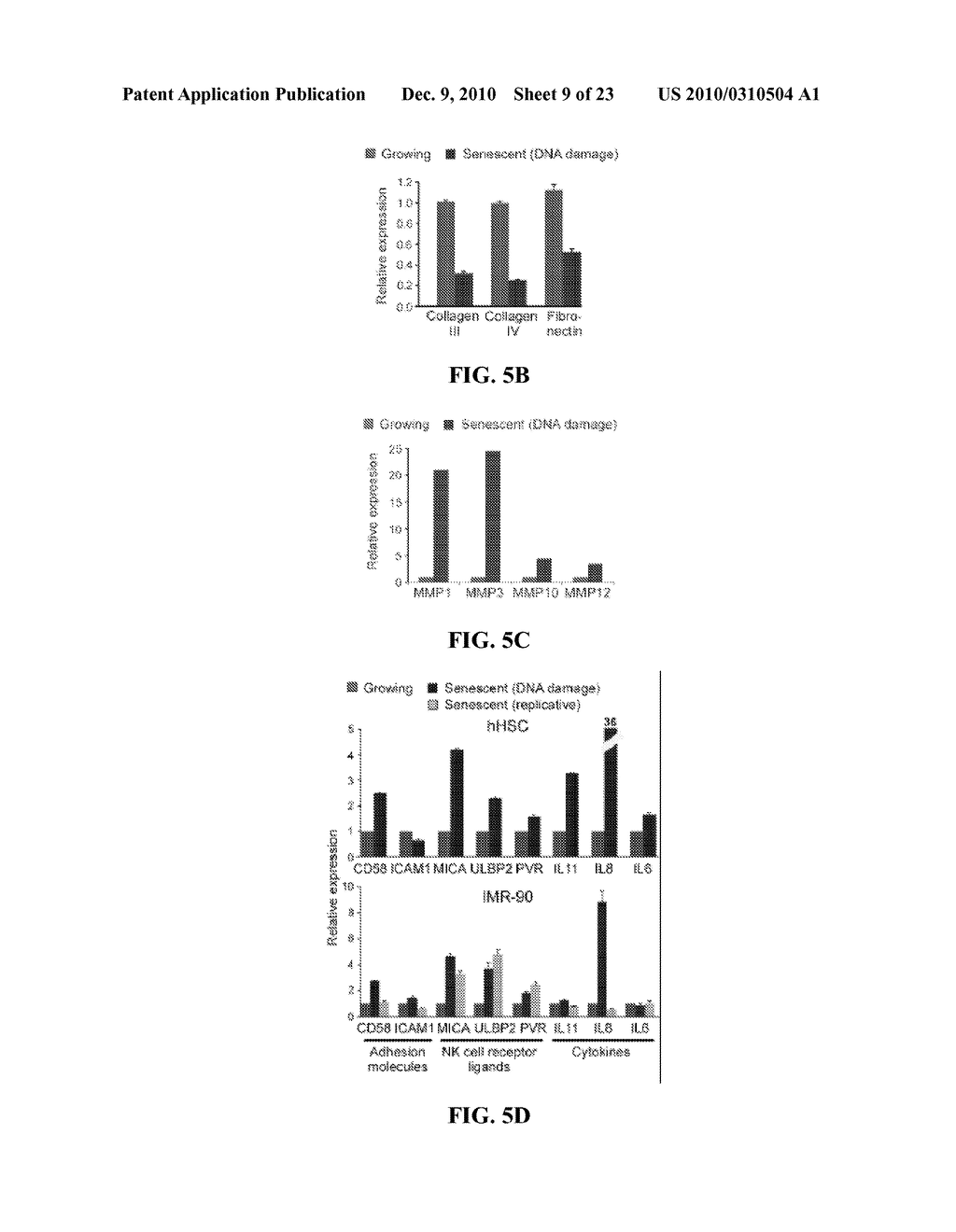 METHODS FOR TREATING FIBROSIS BY MODULATING CELLULAR SENESCENCE - diagram, schematic, and image 10