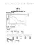 USE OF 2 ANTI-SPARC ANTIBODIES TO PREDICT RESPONSE TO CHEMOTHERAPY diagram and image