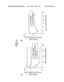 Duplexed Parvovirus Vectors diagram and image