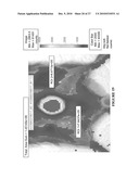 PEPTIDE-COATED CELL LOCALIZATION TO DISEASED OR DAMAGED TISSUES AND METHODS RELATED THERETO diagram and image