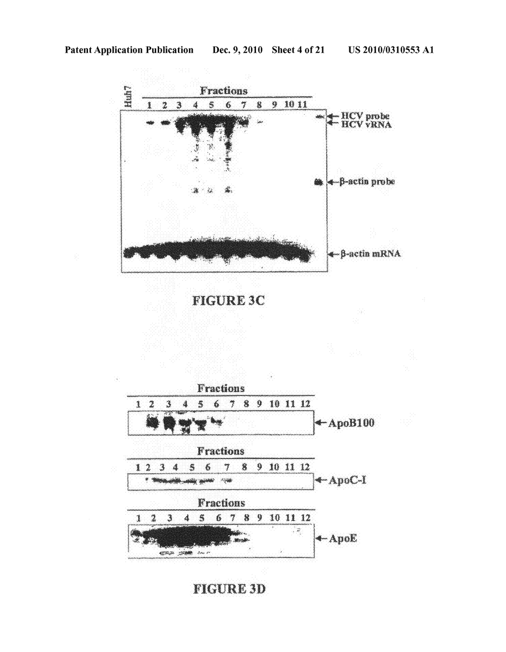 Compositions and Methods for Controlling Hepatitis C Virus Infection - diagram, schematic, and image 05