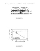 Compositions and Methods for Controlling Hepatitis C Virus Infection diagram and image