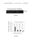 Compositions and Methods for Controlling Hepatitis C Virus Infection diagram and image