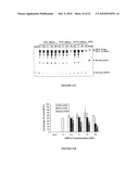 Compositions and Methods for Controlling Hepatitis C Virus Infection diagram and image