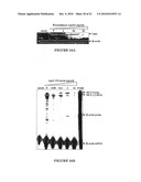 Compositions and Methods for Controlling Hepatitis C Virus Infection diagram and image