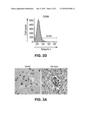 NINJURIN-1 MODULATION AND USES THEREOF diagram and image