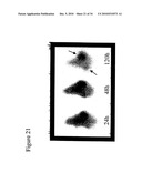 USES OF MONOCLONAL ANTIBODY 8H9 diagram and image