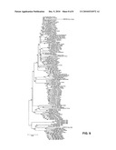 Binding molecules capable of neutralizing rabies virus and uses thereof diagram and image