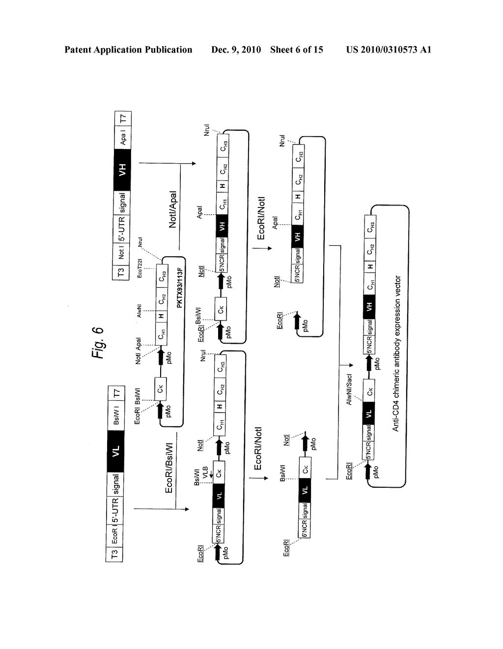 ANTI-CD4 ANTIBODY - diagram, schematic, and image 07