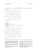 COMBINATION THERAPY OF A TYPE II ANTI-CD20 ANTIBODY WITH INCREASED ANTIBODY DEPENDENT CELLULAR CYTOTOXICITY (ADCC) diagram and image