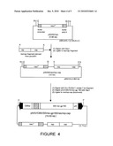 Adeno-Associated Virus Materials and Methods diagram and image