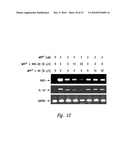 COMPOSITIONS AND METHODS FOR TREATMENT OF NEURODEGENERATIVE DISEASES diagram and image